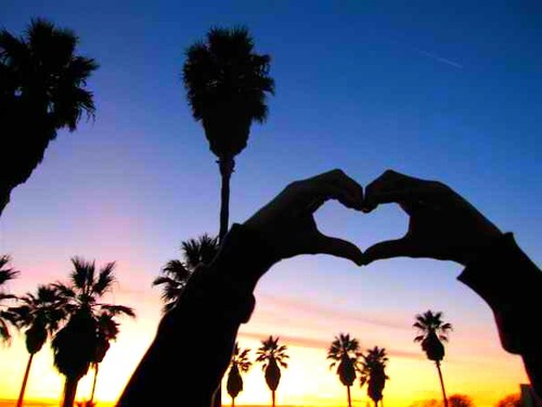 teenbitchadvice's profile picture. Need advice from someone thats been through it all? I have advice for you on everything. Advice about bitches, from a bitch herself. #TeamFollowBack ;)