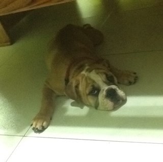 zuly_gutierrez's profile picture. 