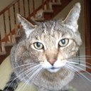 Deb Crane - @debjets - Twitter