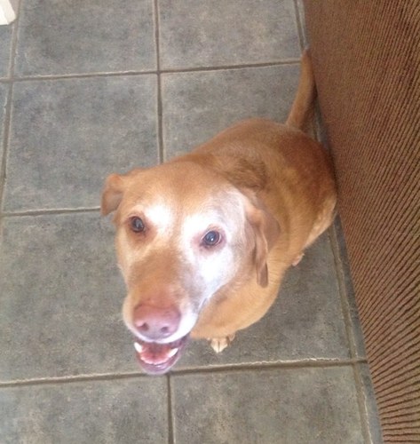 golfgirlrobin's profile picture. 