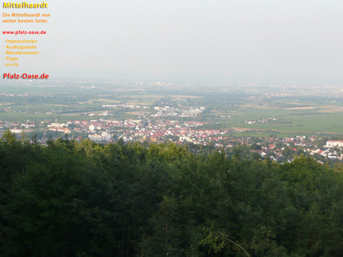 Mittelhaardt, Pfalzkurier, Haardtrand, Pfälzerwald, Erholung, Natur, Paradies, Wanderung, Ausflugtipps, Reisen, Tourismus, Pfalztouristik