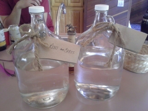 PuckGremlin's profile picture. hockey, kings, giants, bills, MBA, novia