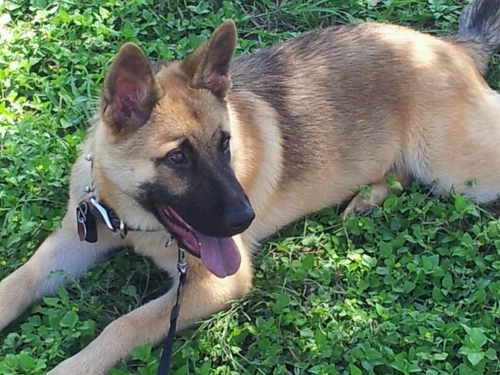 daddy_funk's profile picture. 