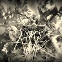 robin - @Robin_Hager_ - Twitter