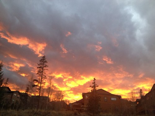 briannesnow's profile picture. 