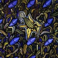 Mike (@millencolin360) 's Twitter Profile Photo