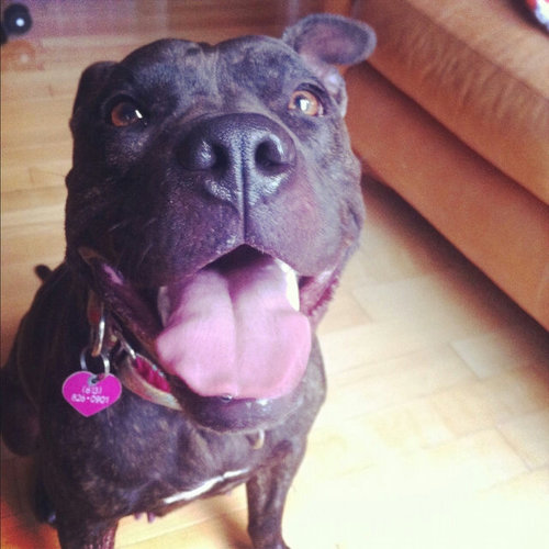 caity_safari's profile picture. Is all about karma, photographs, tea and riding.