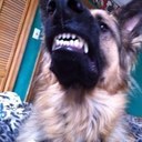 Joe Kearney - @jfkspd592 - Twitter