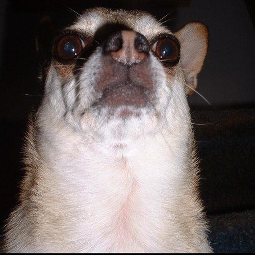 ZackMcSmack's profile picture. 