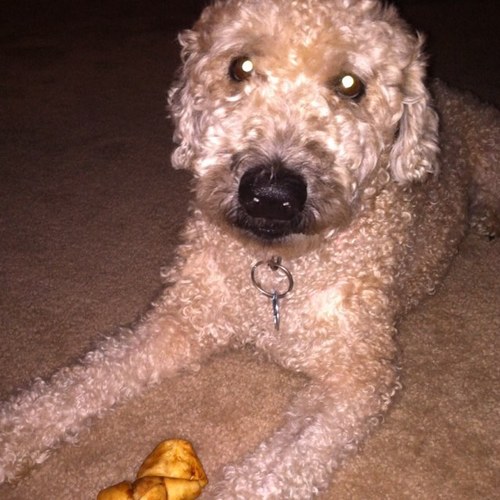 helenarango's profile picture. 