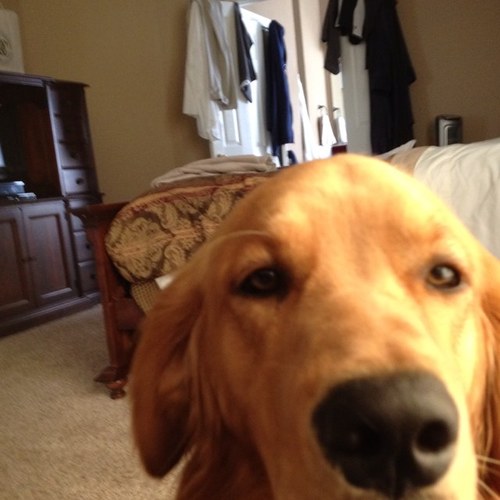 CollinHolz's profile picture. 