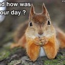 Sarah Nell Tiley - @sntiley - Twitter