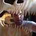 Joe Harrow (@jharrow) Twitter profile photo Joe Harrow (@jharrow) Twitter profile photo