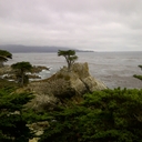 Tracy Lyon - @tracercbd - Twitter