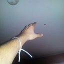 Alan Macias - @babyscwuff - Twitter