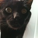 albert galvan - @albertkatas - Twitter