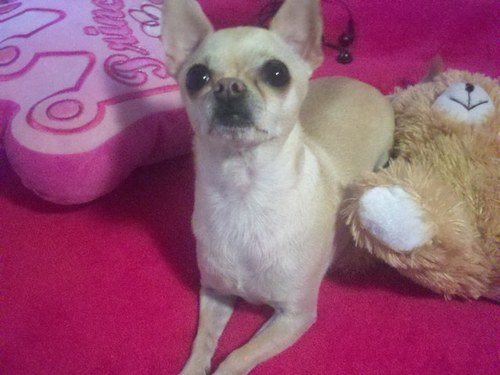 HodgesTonya's profile picture. 