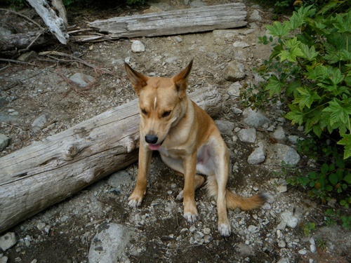 HilaryAten's profile picture. 