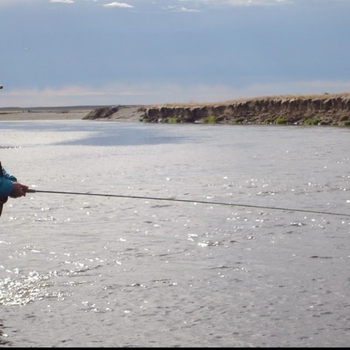 SengBalladares's profile picture. 