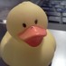 Naren (12/100 photos) (@rendroid1) Twitter profile photo Naren (12/100 photos) (@rendroid1) Twitter profile photo