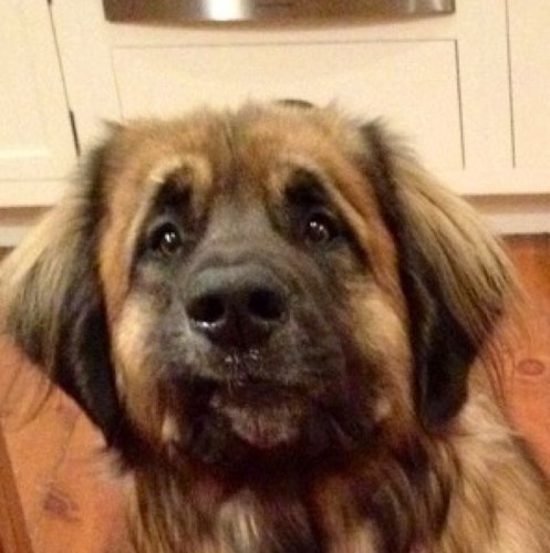 shspalding's profile picture. Don't worry...........