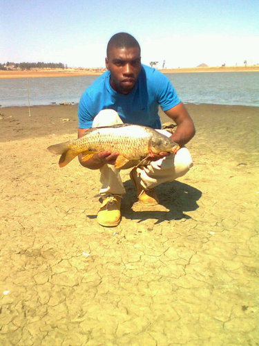Ufisherman lona Masikane