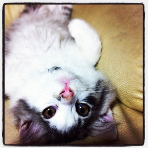 taka2002s's profile picture. 