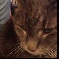 Hugo2024 (@cabledude101) 's Twitter Profile