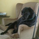 Patrick Yaeger - @8MooseFeet - Twitter