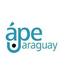 Ápe Paraguay (@apeparaguay) Twitter profile photo