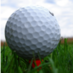 Golf Courier (@golfcourier) Twitter profile photo Golf Courier (@golfcourier) Twitter profile photo
