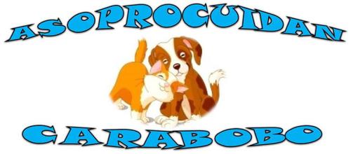 Asociación de Protección y Cuidado Animal dedicada a promover respeto, cuidado y protección de animales en situación de calle, maltrato y abandono