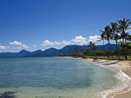 Live in paradise.🏝Forever grateful. Owner/Realtor/Broker who sells real estate.🏡 Defender💪🏽 of girls & women in sports who the woke are bent on destroying.