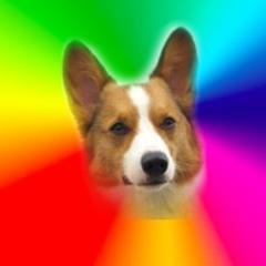 A Corginization.