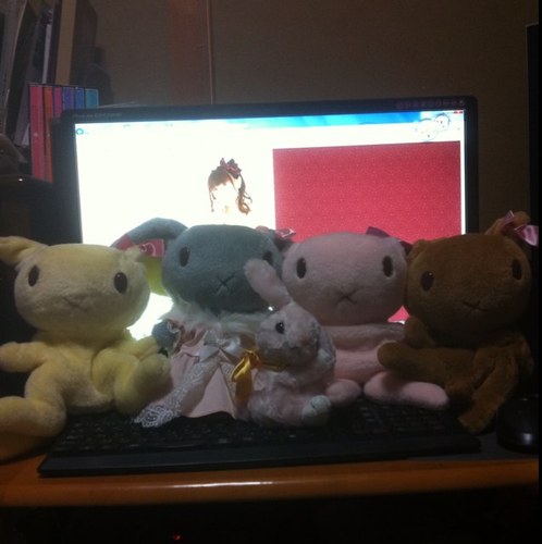 高木 ぬぬぬ @🎵 Soundrops Ⅱ全通💧