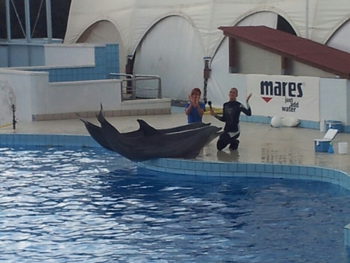 g_diemidio's profile picture. 