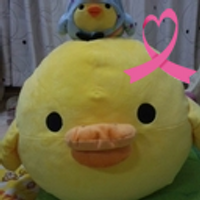 めぐ (@meguchobi) 's Twitter Profile