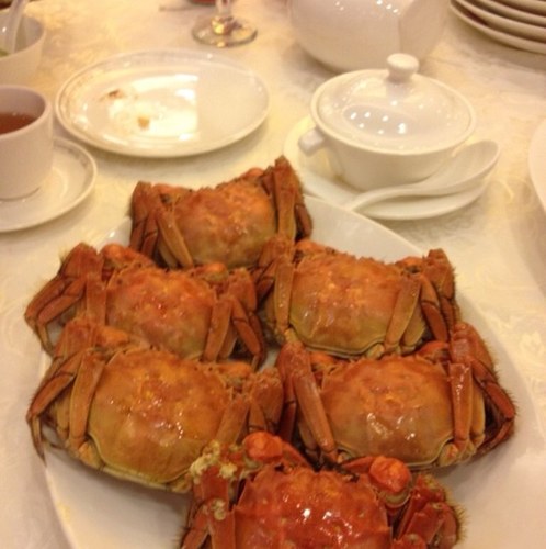 yoshiyoshiito's profile picture. 