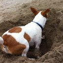 Eva Curry - @madmaxeva - Twitter