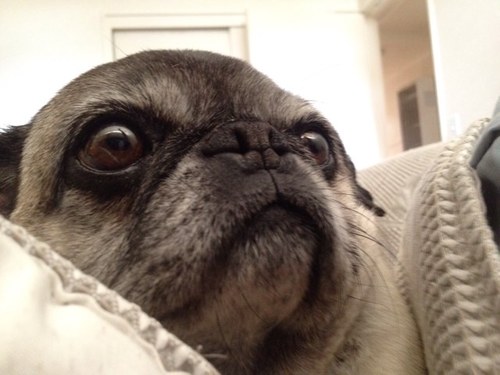 pop_law_sky's profile picture. 