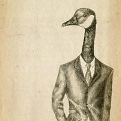 GooseFowl's profile picture. I mean really have you ever seen a goose in a suit?