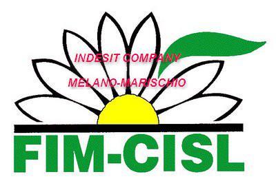 Pagina della RSU e della Fim-Cisl dello stabilimento Indesit-Company di Melano-Marischio (AN).