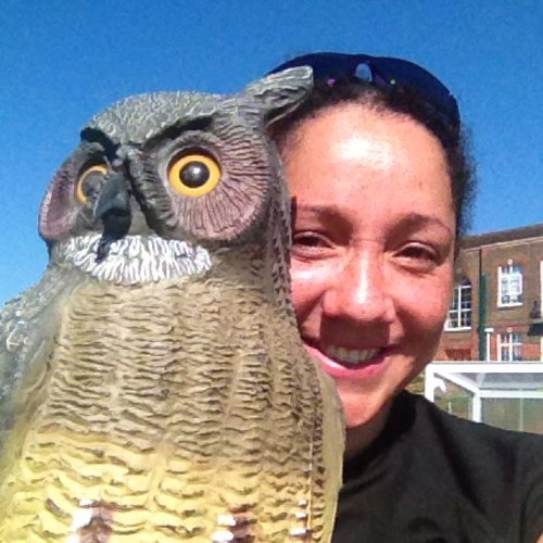 missq01's profile picture. Hockey mad Brown Owl and Brighton Marathon finisher in 2014