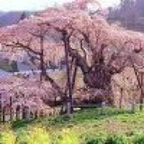 20代 求職中
希望職種 エンジニア 
業界未経験