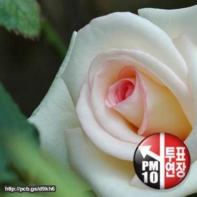 makh3277's profile picture. 더불어 사는 아름다운 세상을 향하여. 따뜻한 마음이 강물처럼 흐르는 세상을 꿈꾸며. 상식이 통하는 인간미가 넘치는 사회를 소망하며