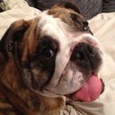 Jon Like - @LiKeY65 - Twitter