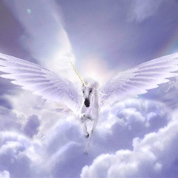 S_U_B_S's profile picture. Follow us on Instagram: @S_U_B_S to view our apparels and other items :-) 
If you have any enquiries, email us at sexy.unicorn.blogshop@gmail.com ^-^