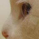 edgar poe - @catonbike - Twitter