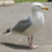 AboutDover's profile image
