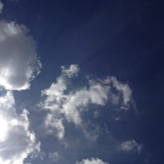 katohiro4's profile picture. ITサービスをGLOBALに展開するISFnetでは、五大採用の大義のもと、IT未経験者、フリーター、時間に制約がある方、障がい者、ニート、引きこもり（NPO FDA）の方々などの雇用の創造をもチャレンジ。国内:17箇所、海外6拠点:中国、韓国、シンガポール、マレーシア、ベトナム、インド